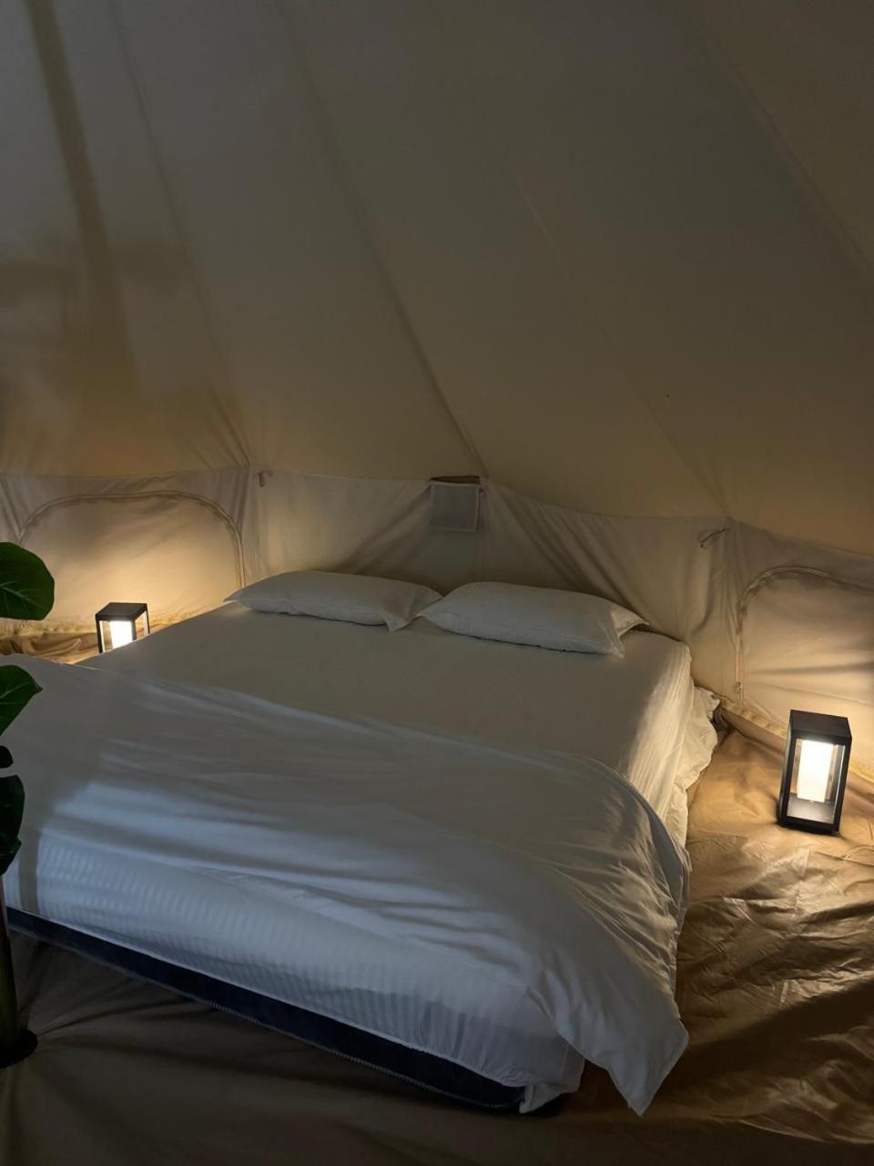 Desert Stars Camp Badīyah Extérieur photo