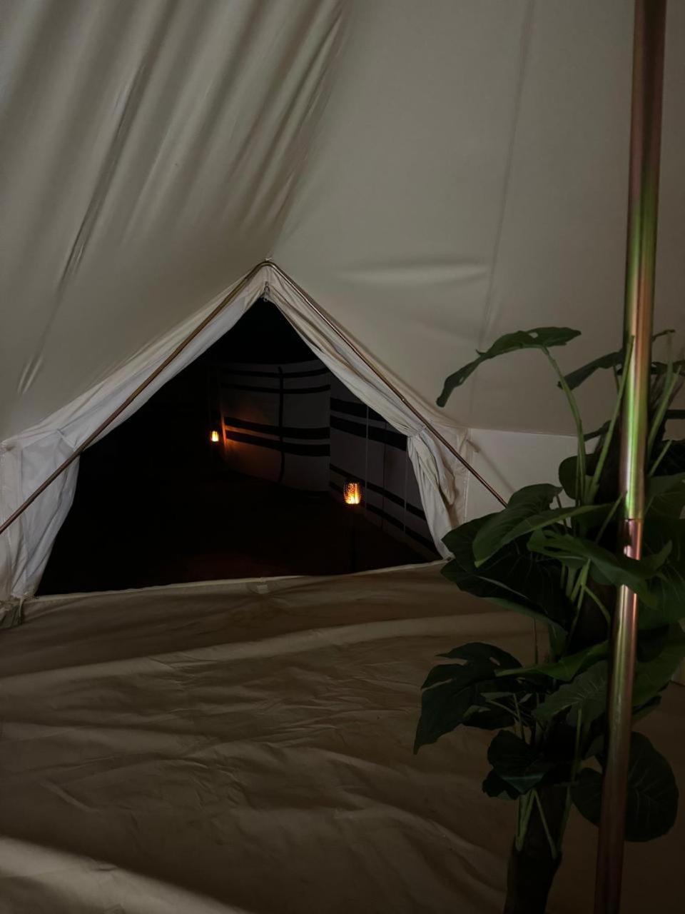 Desert Stars Camp Badīyah Extérieur photo