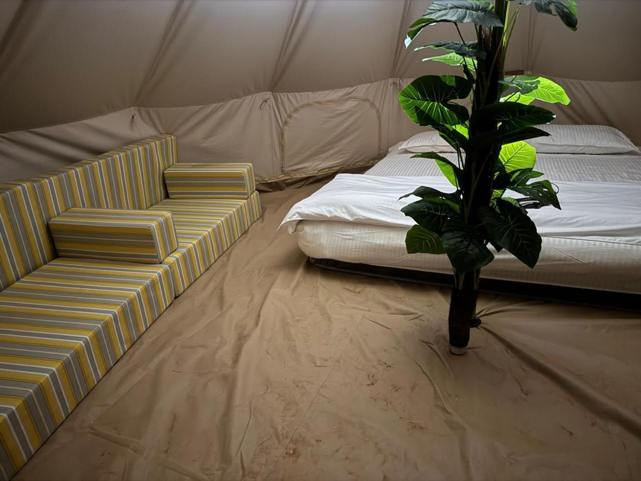Desert Stars Camp Badīyah Extérieur photo